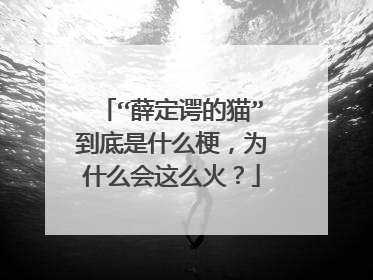 “薛定谔的猫”到底是什么梗，为什么会这么火？