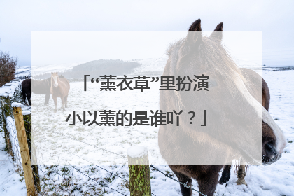 “薰衣草”里扮演小以薰的是谁吖?