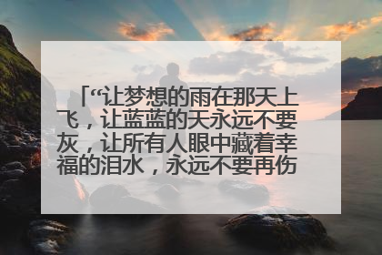 “让梦想的雨在那天上飞,让蓝蓝的天永远不要灰,让所有人眼中藏着幸福的泪水,永远不要再伤悲。”歌名是