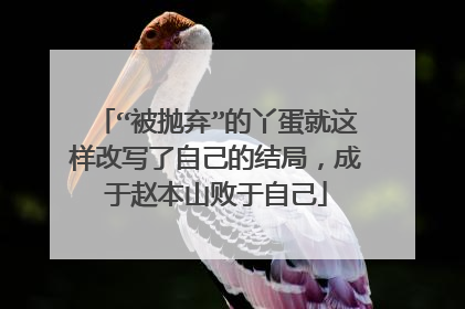 “被抛弃”的丫蛋就这样改写了自己的结局，成于赵本山败于自己