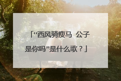 “西风骑瘦马 公子是你吗”是什么歌？