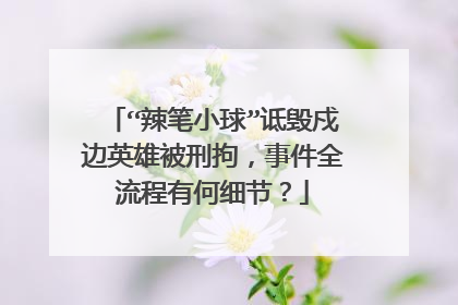 “辣笔小球”诋毁戍边英雄被刑拘,事件全流程有何细节?