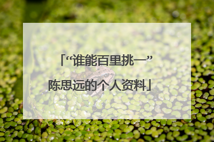 “谁能百里挑一”陈思远的个人资料