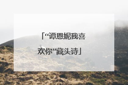 “谭恩妮我喜欢你”藏头诗