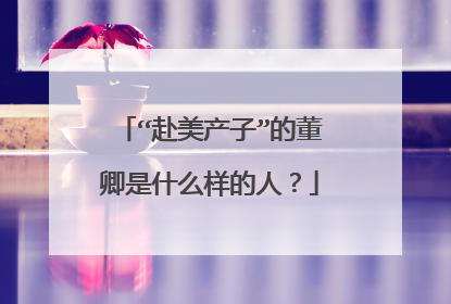 “赴美产子”的董卿是什么样的人？