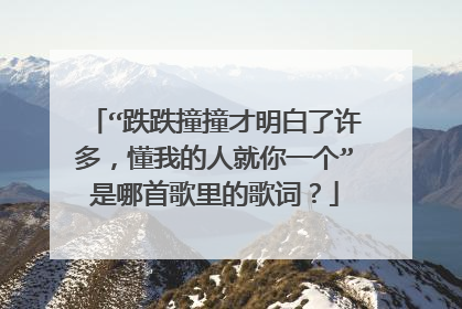 “跌跌撞撞才明白了许多,懂我的人就你一个”是哪首歌里的歌词?