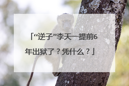 “逆子”李天一提前6年出狱了？凭什么？