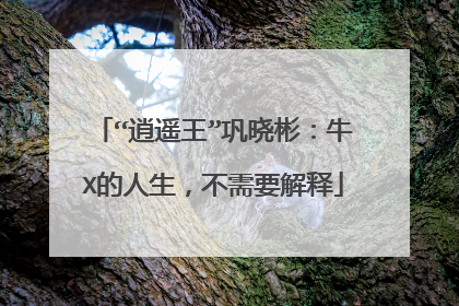 “逍遥王”巩晓彬：牛X的人生，不需要解释