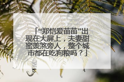 “郑恺爱苗苗”出现在大屏上,夫妻甜蜜羡煞旁人,整个城市都在吃狗粮吗?
