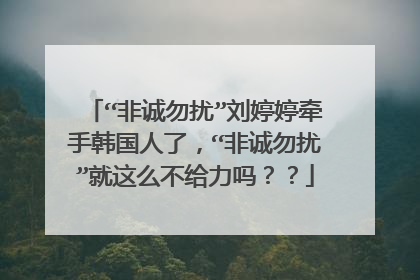 “非诚勿扰”刘婷婷牵手韩国人了,“非诚勿扰”就这么不给力吗??