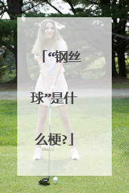 “钢丝球”是什么梗?