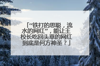 “铁打的思聪，流水的网红”，能让王校长吃回头草的网红到底是何方神圣？