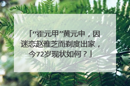 “霍元甲”黄元申,因迷恋赵雅芝而剃度出家,今72岁现状如何?