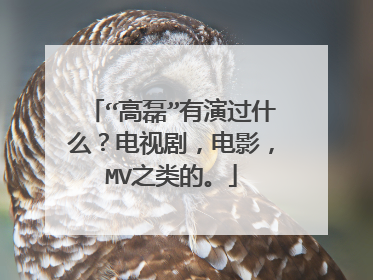 “高磊”有演过什么？电视剧，电影，MV之类的。