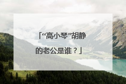 “高小琴”胡静的老公是谁？