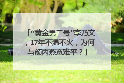 “黄金男二号”李乃文,17年不温不火,为何与颜丙燕意难平?