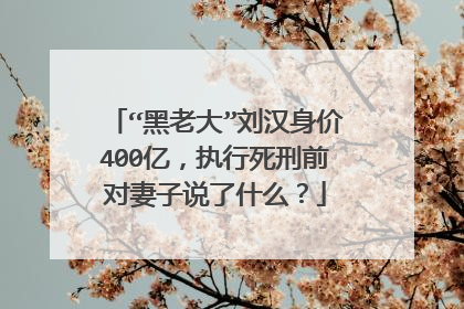 “黑老大”刘汉身价400亿，执行死刑前对妻子说了什么？