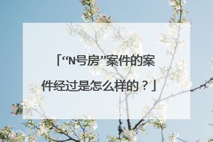 “N号房”案件的案件经过是怎么样的？