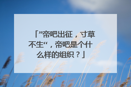 ”帝吧出征,寸草不生“,帝吧是个什么样的组织?