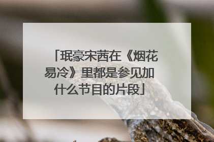 珉豪宋茜在《烟花易冷》里都是参见加什么节目的片段