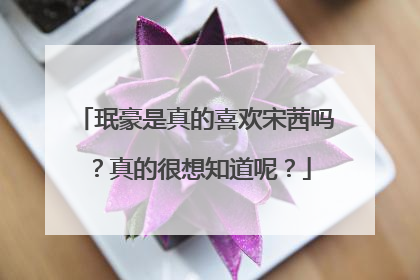 珉豪是真的喜欢宋茜吗?真的很想知道呢?