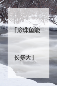 珍珠鱼能长多大