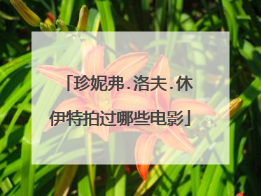 珍妮弗.洛夫.休伊特拍过哪些电影