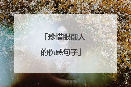 珍惜眼前人的伤感句子