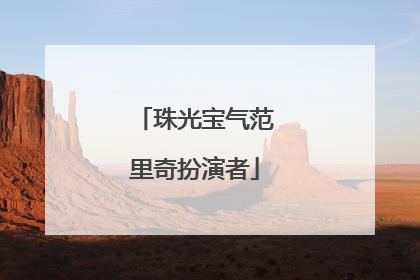 珠光宝气范里奇扮演者