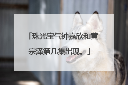 珠光宝气钟嘉欣和黄宗泽第几集出现。