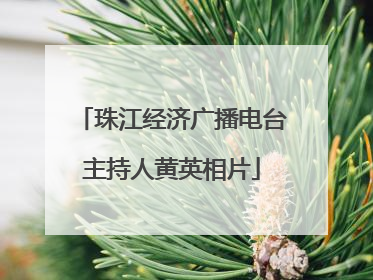 珠江经济广播电台主持人黄英相片