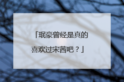 珉豪曾经是真的喜欢过宋茜吧?