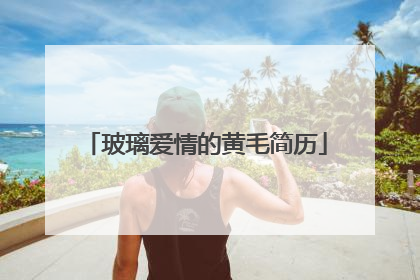 玻璃爱情的黄毛简历