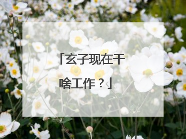 玄子现在干啥工作?