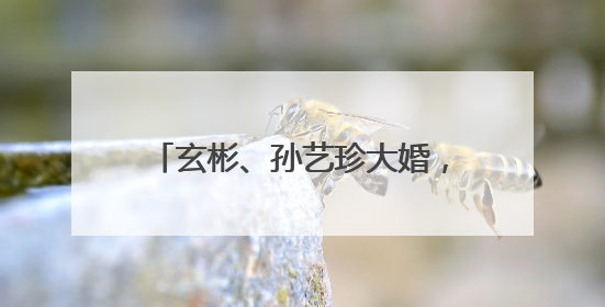 玄彬、孙艺珍大婚，请了半个韩国娱乐圈，是否证实了他们夫妇在韩圈的地位？