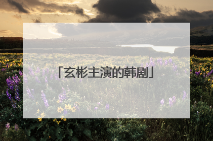 玄彬主演的韩剧