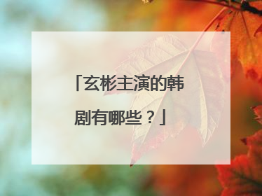 玄彬主演的韩剧有哪些？