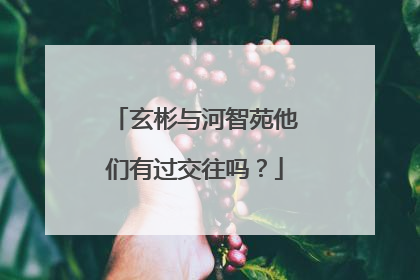 玄彬与河智苑他们有过交往吗?