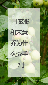 玄彬和宋慧乔为什么分手?