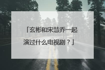 玄彬和宋慧乔一起演过什么电视剧？