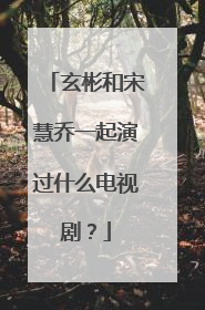 玄彬和宋慧乔一起演过什么电视剧?