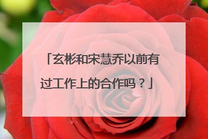 玄彬和宋慧乔以前有过工作上的合作吗?