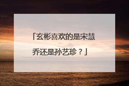 玄彬喜欢的是宋慧乔还是孙艺珍?