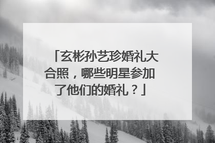 玄彬孙艺珍婚礼大合照，哪些明星参加了他们的婚礼？