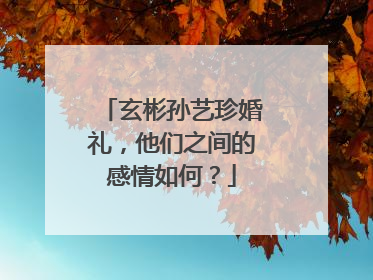 玄彬孙艺珍婚礼，他们之间的感情如何？