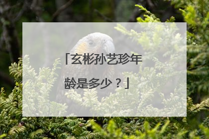 玄彬孙艺珍年龄是多少？