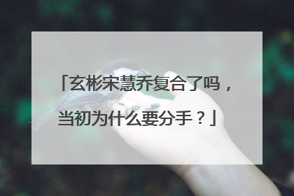 玄彬宋慧乔复合了吗,当初为什么要分手?