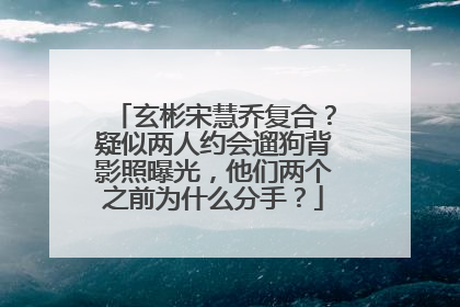 玄彬宋慧乔复合？疑似两人约会遛狗背影照曝光，他们两个之前为什么分手？