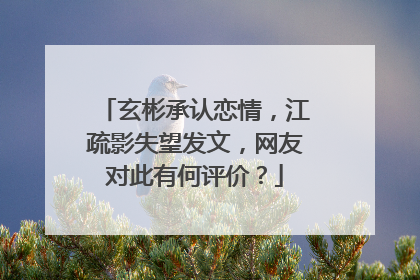 玄彬承认恋情,江疏影失望发文,网友对此有何评价?