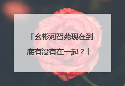 玄彬河智苑现在到底有没有在一起？